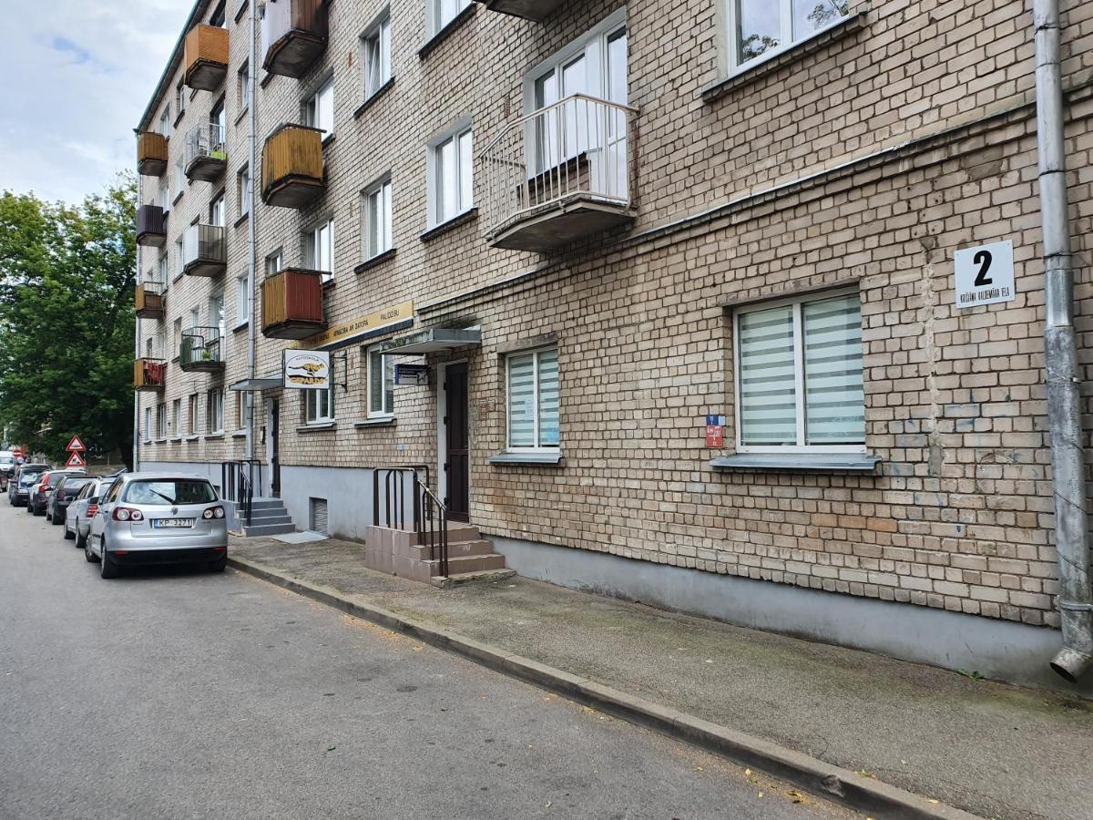Apartament Erfolg 6 داوُجافبيلسْ المظهر الخارجي الصورة