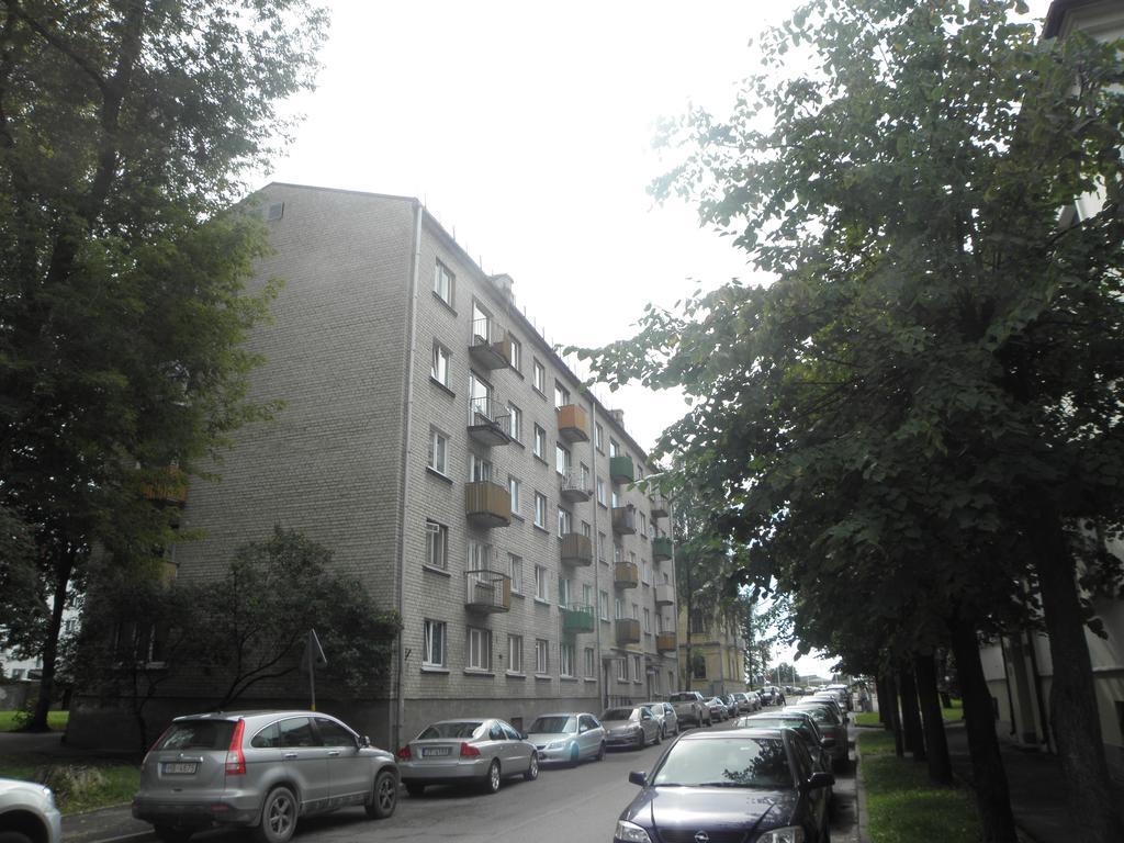 Apartament Erfolg 6 داوُجافبيلسْ المظهر الخارجي الصورة